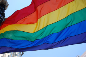 Europa maakt vuist tegen homofobie